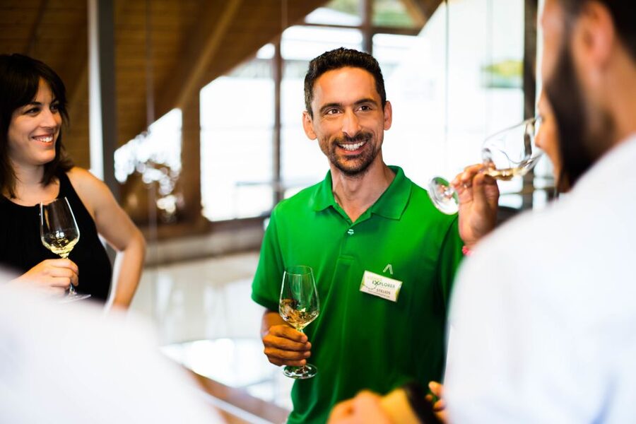 From Vienna: Wachau Valley Day Tour with Wine Tasting - Melk Abbey and the seasonal plan