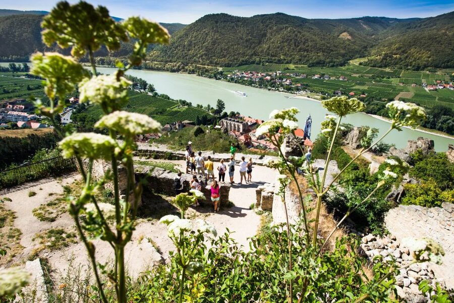 From Vienna: Wachau Valley Day Tour with Wine Tasting - What to pack and how to pace yourself