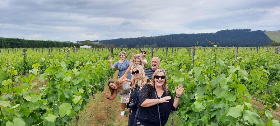 From Wellington: Martinborough Winery Tour - Who should book this experience