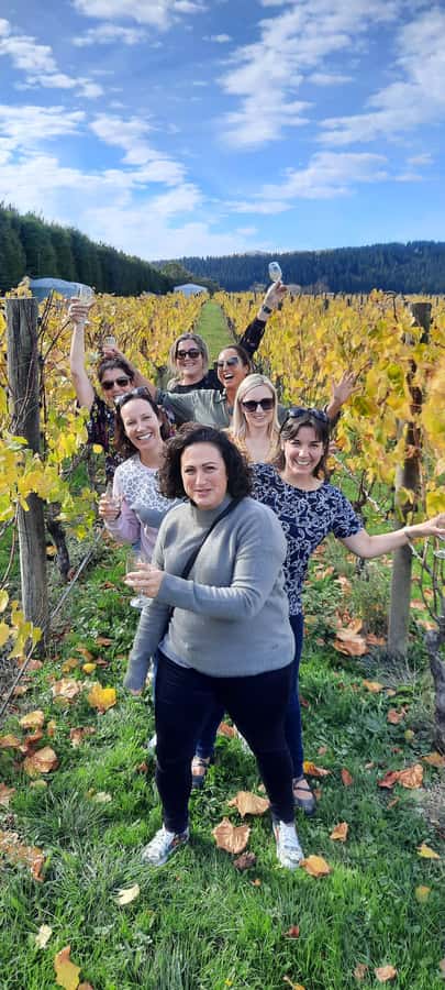 From Wellington: Martinborough Winery Tour - The Remutaka Summit gives the tour breathing room