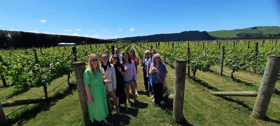 From Wellington: Martinborough Winery Tour - The middle stops mix boutique charm with food