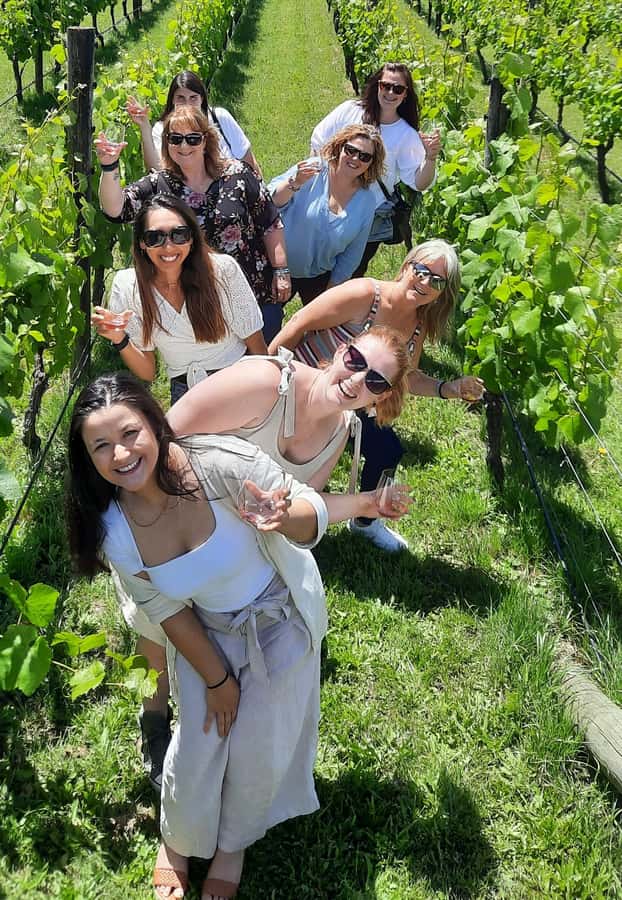 From Wellington: Martinborough Winery Tour - Pickup from Wellington and the ride south