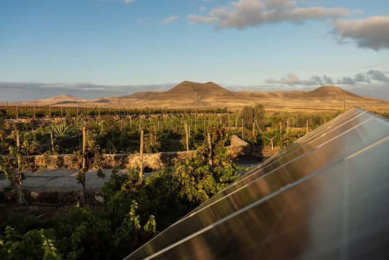 Fuerteventura: Tour & tasting at Conatvs Winery - Getting there and planning the return