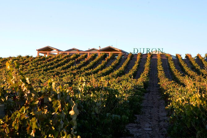 Full day at the winery, visit, tasting, aperitif and lunch - Arriving at Bodegas Durón near La Horra