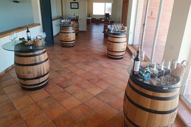 Full day at the winery, visit, tasting, aperitif and lunch - Lunch in the dining room viewpoint