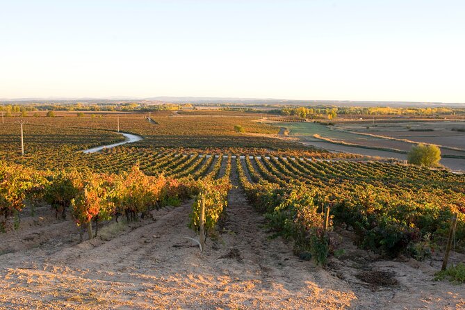 Full day at the winery, visit, tasting, aperitif and lunch - Why the food pairing matters