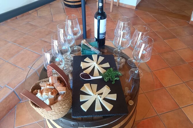 Full day at the winery, visit, tasting, aperitif and lunch - The view is part of the value