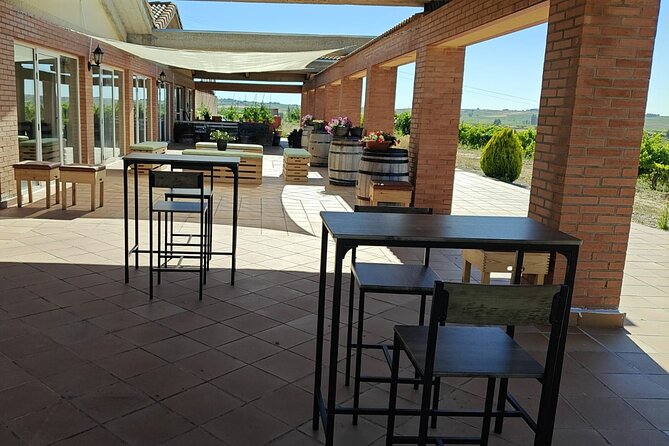 Full day at the winery, visit, tasting, aperitif and lunch - Group size, service, and practical concerns