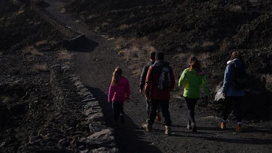 Full-Day Etna and Wine Tour from Catania - Who should book this tour?