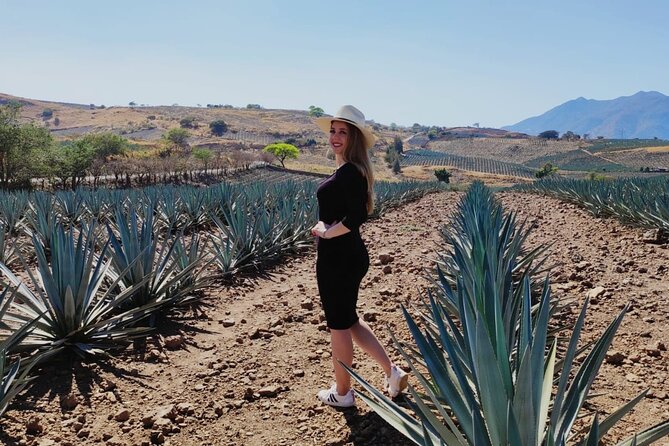 Full Day in Tequila with Tasting and party in Cantaritos - Cantaritos el Güero #1, where the day turns into a party