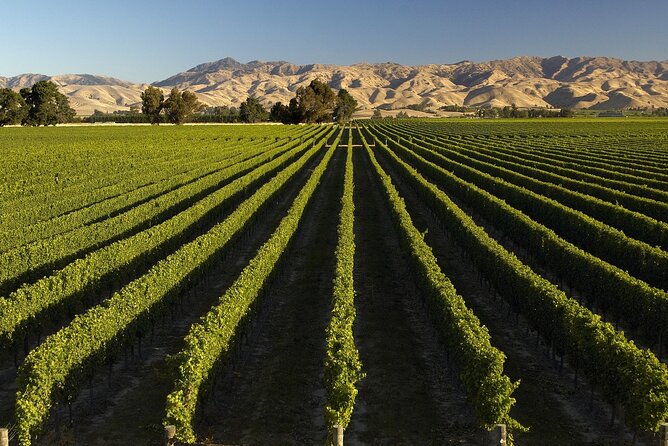 Full-Day Marlborough Wine Tour from Blenheim - Afternoon wineries and the return to Blenheim