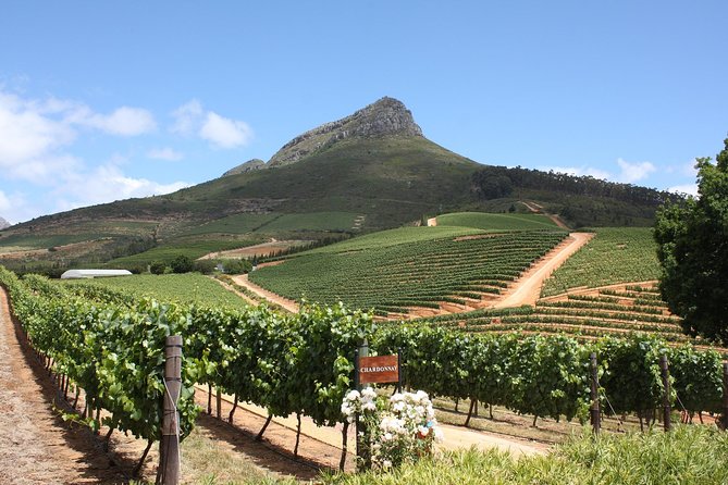 Full-Day Stellenbosch, Franschhoek and Paarl Wine Tasting Tour from Cape Town - What the price includes at $101.22