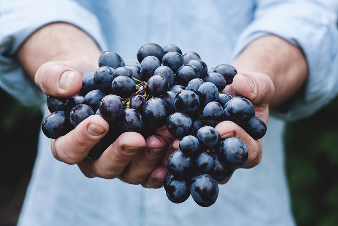 Full-Day Stellenbosch, Franschhoek and Paarl Wine Tasting Tour from Cape Town - The guide can shape the whole experience