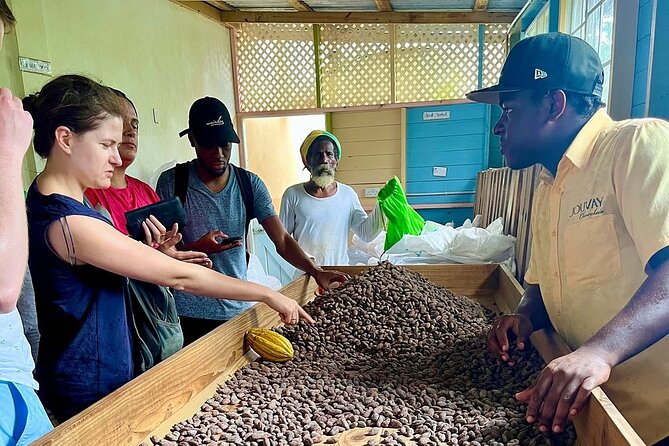 Full-Day Tour: Concord Waterfall, Chocolate Factory, Rum Distillery, Grand Etang - Sauteurs Bay and a real lunch stop