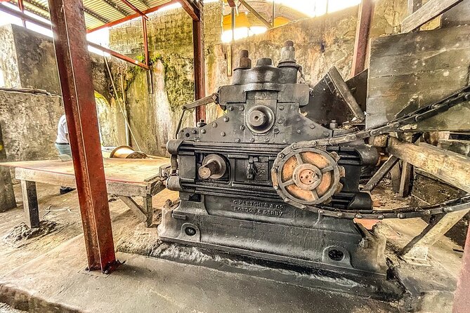 Full-Day Tour: Concord Waterfall, Chocolate Factory, Rum Distillery, Grand Etang - Transport, timing, and the cruise-ship question