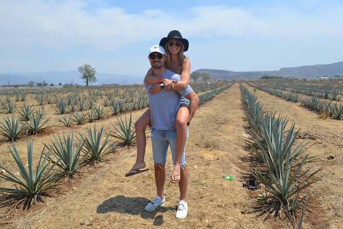 Full Day Tour to Tequila and Amatitán with Fun and Culture - Tres Mujeres: start with how tequila is made