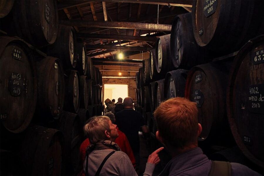 Funchal: H.M. Borges Winery Guided Tour with Wine Tasting - What happens inside the historic winery