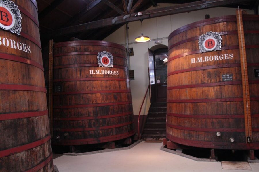 Funchal: H.M. Borges Winery Guided Tour with Wine Tasting - What the wines taste like