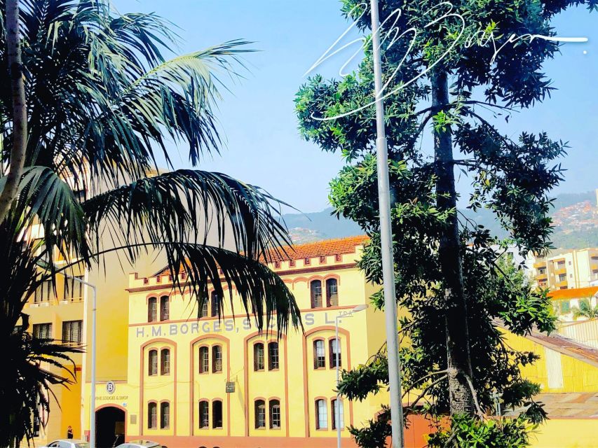 Funchal: H.M. Borges Winery Guided Tour with Wine Tasting - Is H.M. Borges worth booking?