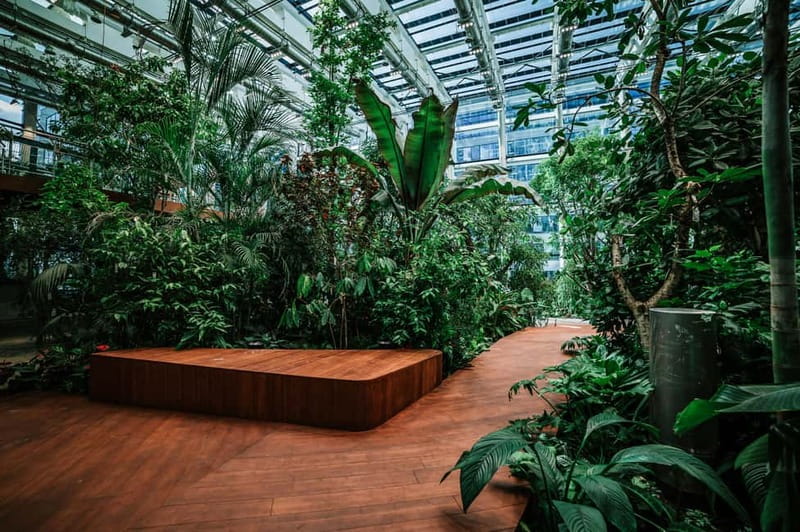 Gdańsk: Sky-High Views & Cocktail - Olivia Star Top Floor - Should you book this high-rise and garden combination?
