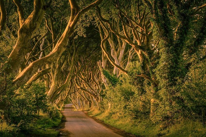 Giant Causeway, Dark Hedges & Whiskey Distillery tour from Dublin - A very full day from Dublin