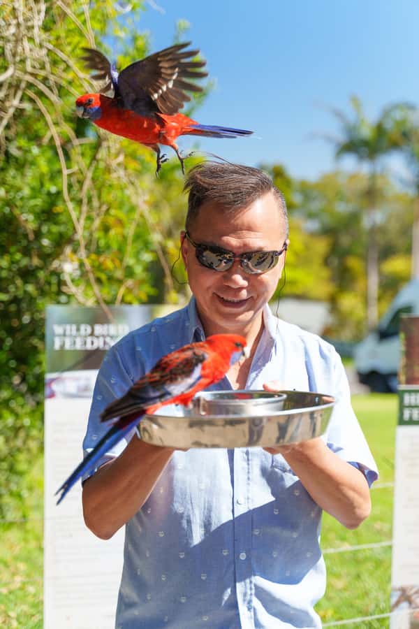 Gold Coast: Lamington Treetops, Wildlife and Vineyard Visit - Key points to know before booking
