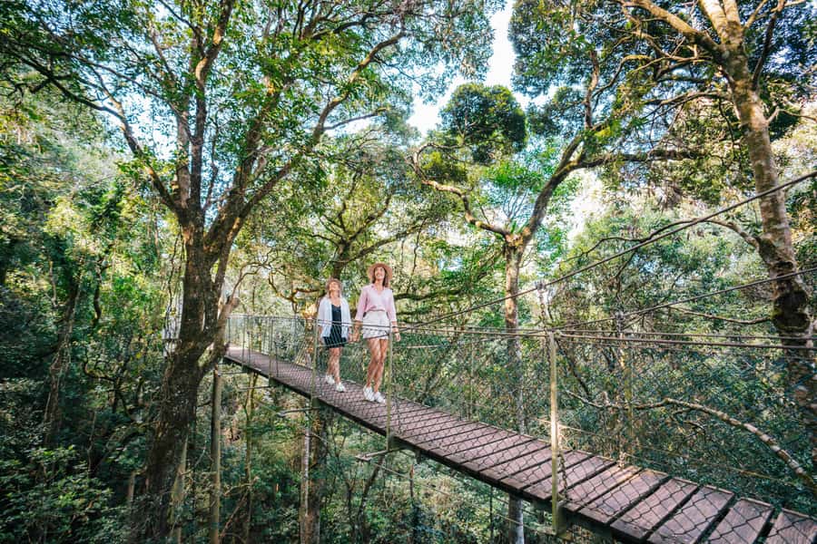 Gold Coast: Lamington Treetops, Wildlife and Vineyard Visit - O’Reilly’s Rainforest Retreat and mountain views
