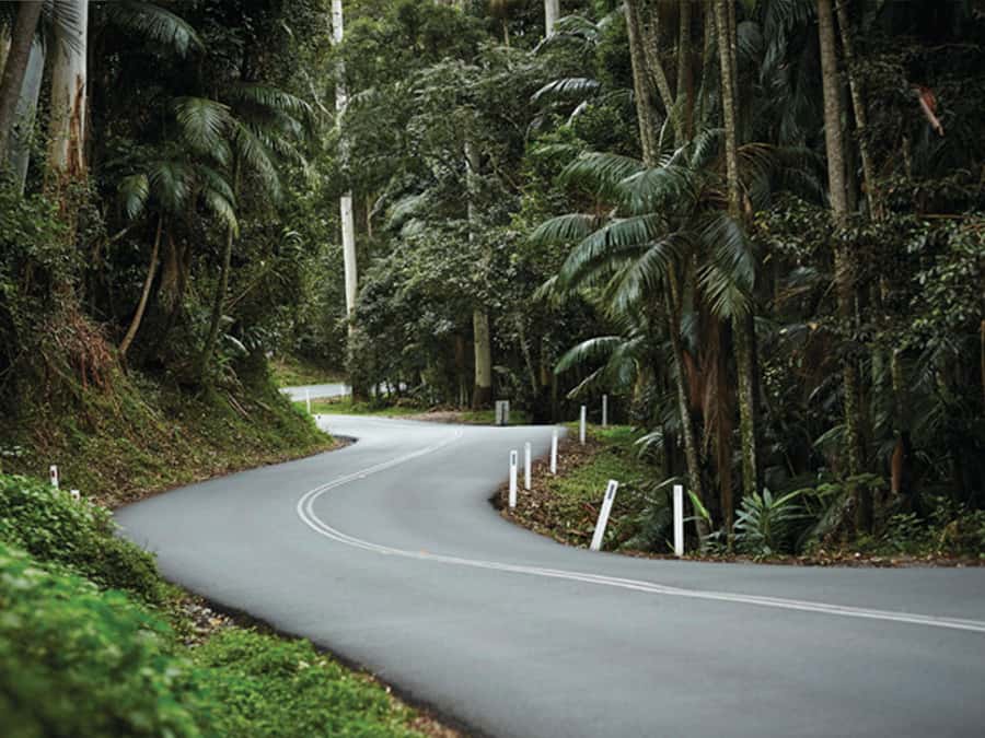 Gold Coast: Tamborine Mountain Local Winery Tour with Lunch - What the $162 price really covers