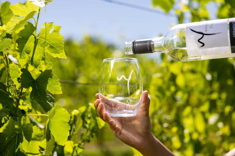 Gold Coast: Tamborine Mountain Local Winery Tour with Lunch - Who will enjoy this tour most