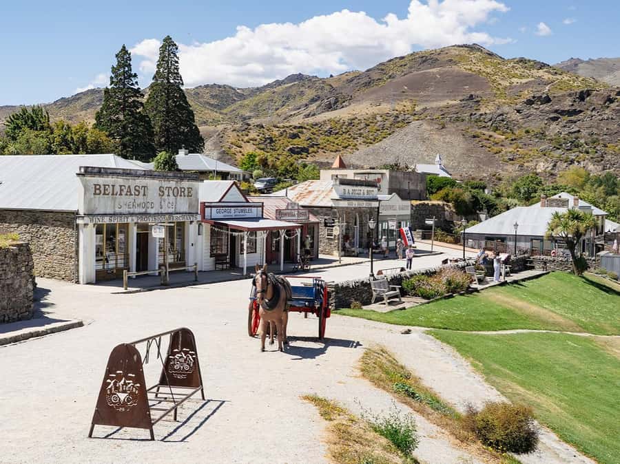 Gourmet Food and Wine Tour with Lunch and Wine Tastings - Who should book this wine tour?