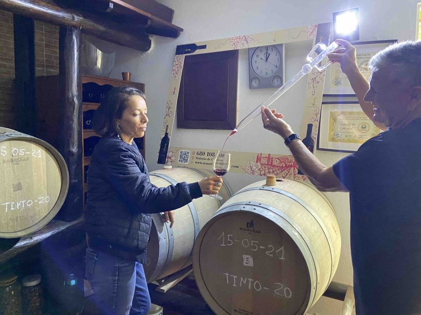 Gran Canaria: Best Wineries and Views Tour - Small groups, transport, and the pace of the day