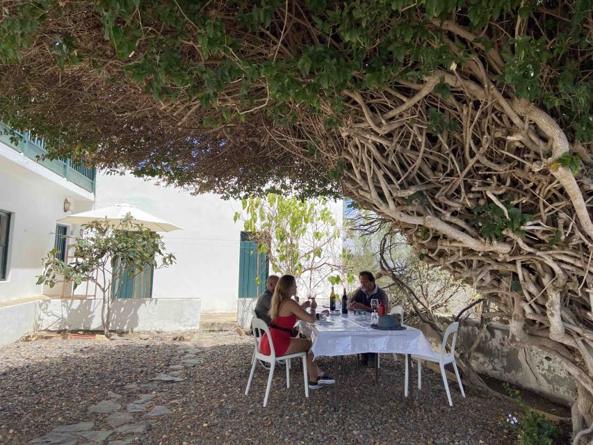 Gran Canaria: Best Wineries and Views Tour - My verdict on the family winery experience
