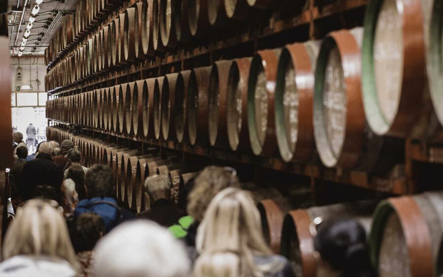 Gran Canaria: Rum, Wines and Banana Tour - Agaete and Playa de las Nieves: your lunch decision