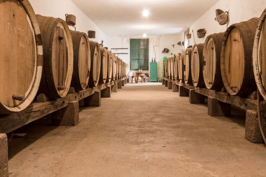Gran Canaria: Winery Tour, Wine Museum, and Tasting - Gran Canaria’s only wine museum