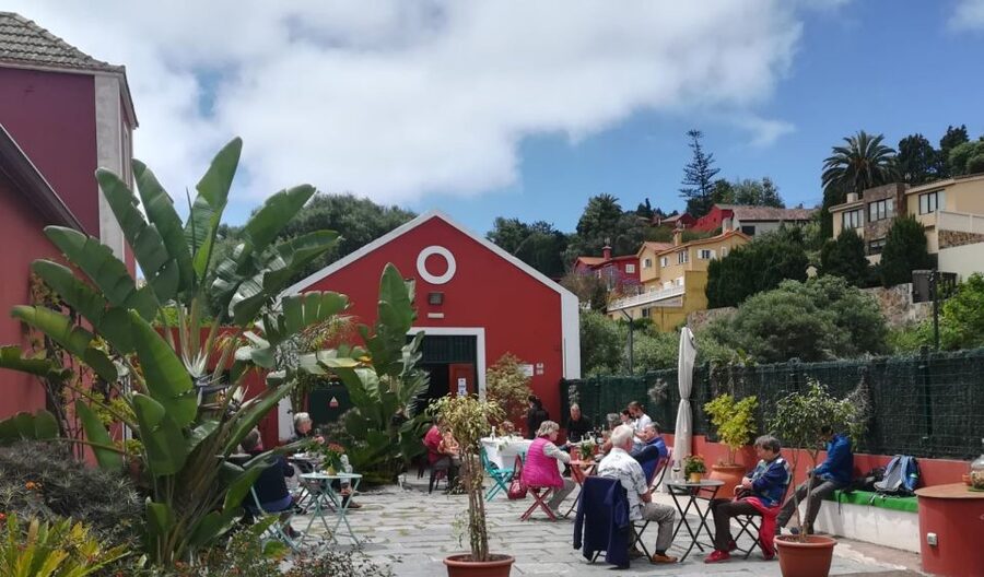 Gran Canaria: Winery Tour, Wine Museum, and Tasting - Entering the cellar and comparing old with new