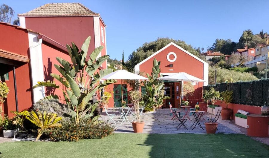 Gran Canaria: Winery Tour, Wine Museum, and Tasting - Getting there and planning your visit