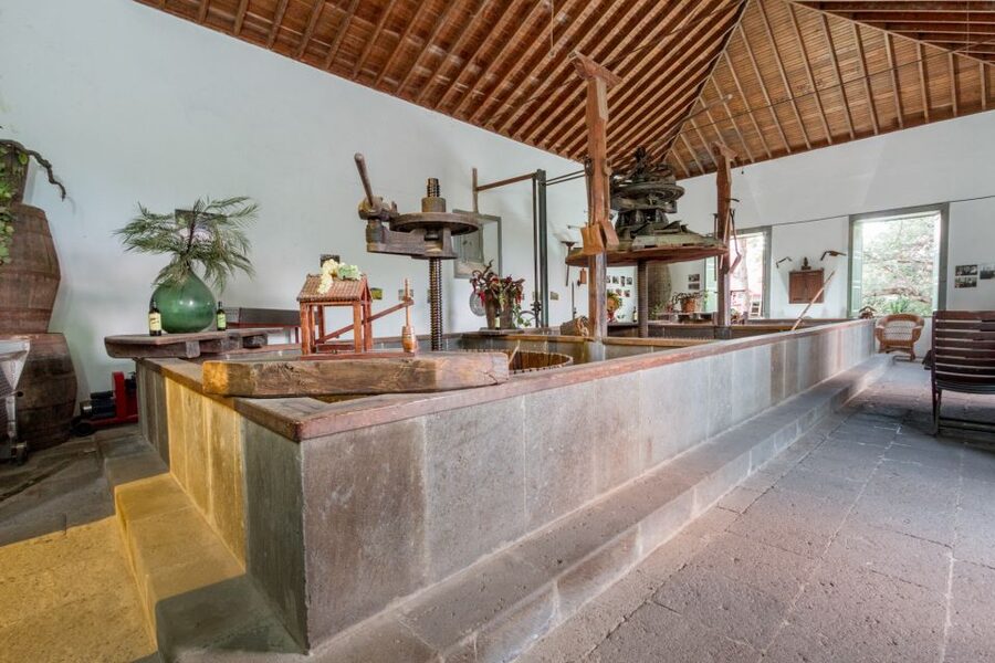 Gran Canaria: Winery Tour, Wine Museum, and Tasting - Who will enjoy this tour most?