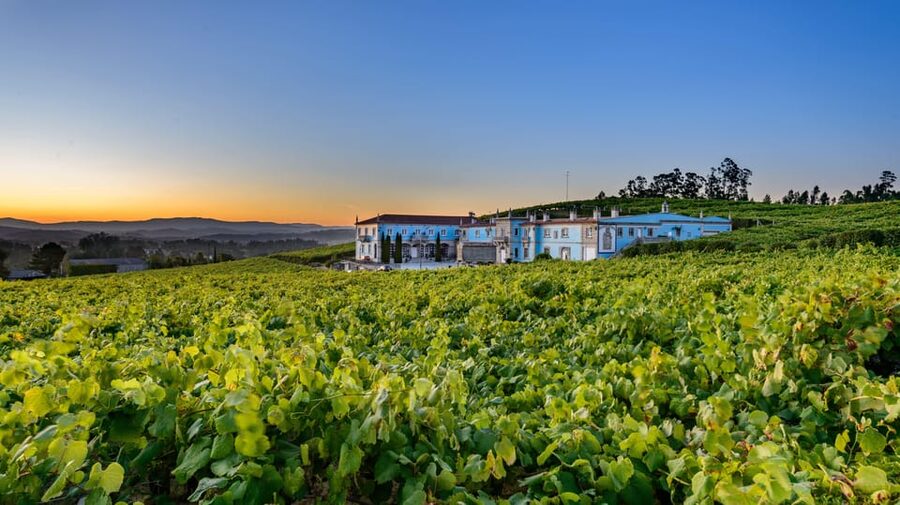 Granbazán Winery: Guided Tour and Wine Tasting - Four Granbazán wines and a plate of Galicia