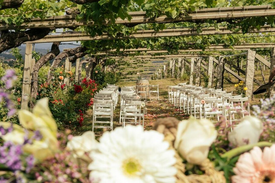 Granbazán Winery: Guided Tour and Wine Tasting - Guides who make the short visit count