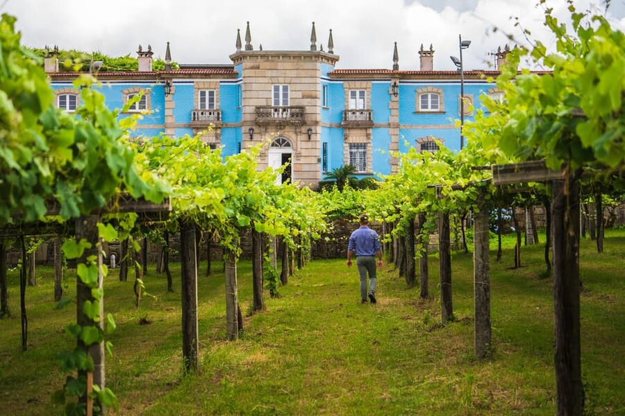 Granbazán Winery: Guided Tour and Wine Tasting - The vineyard walk comes before the tasting