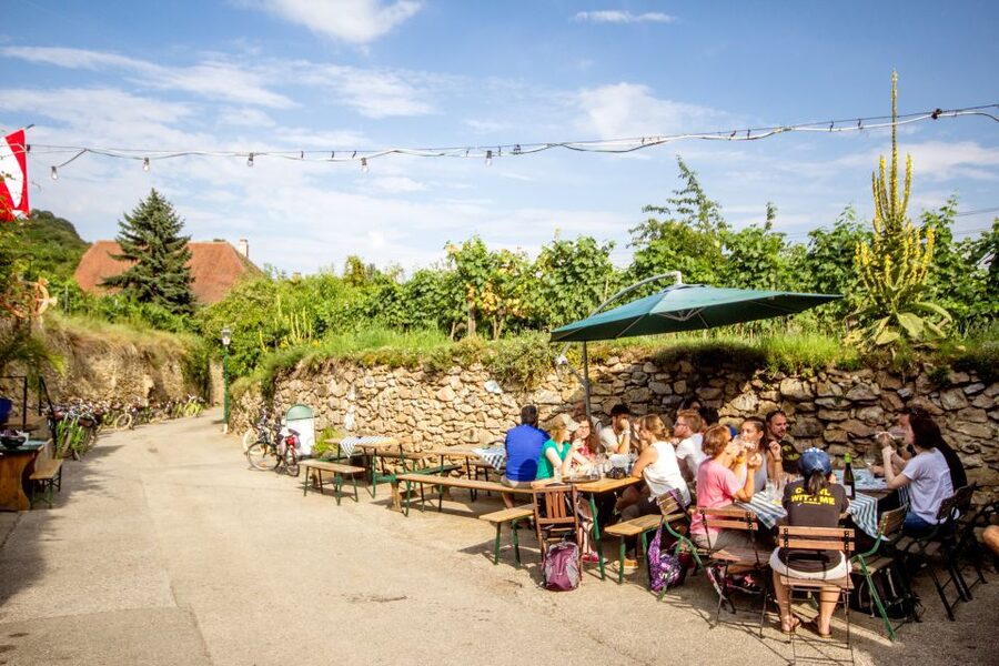 Grape Grazing: Wachau Valley Winery Biking Tour - What $163 gets you