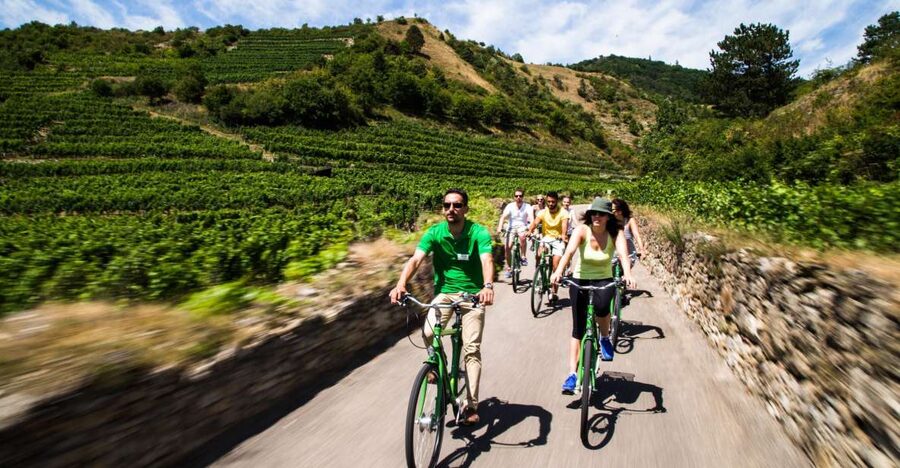 Grape Grazing: Wachau Valley Winery Biking Tour - Why the Wachau works so well by bicycle