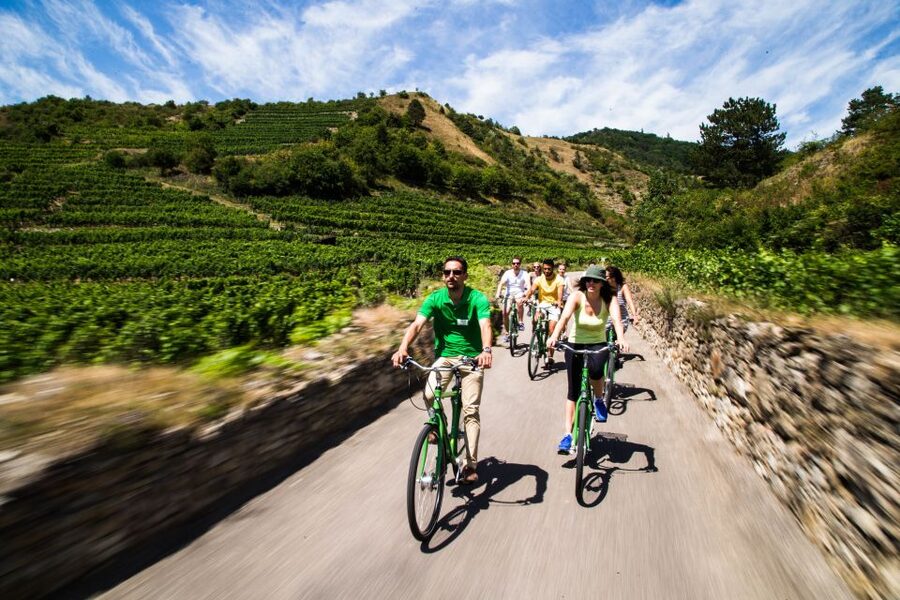 Grape Grazing: Wachau Valley Winery Biking Tour - Starting on two wheels in Krems