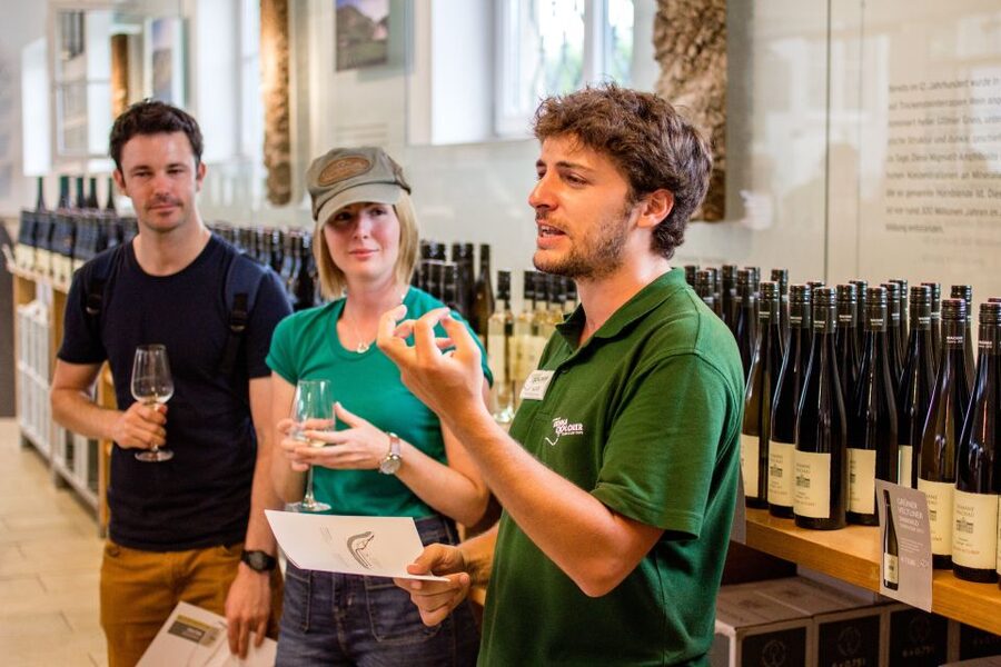 Grape Grazing: Wachau Valley Winery Biking Tour - Returning to Krems and Vienna