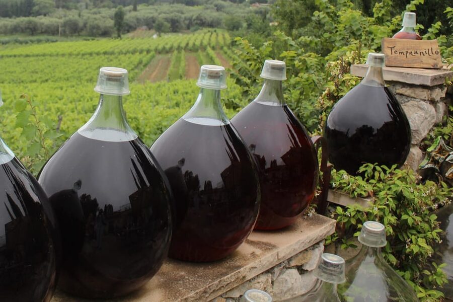 Grasse, Valbonne & Gourdon: Day Tour with Wine Tasting - Is $141 a fair price?