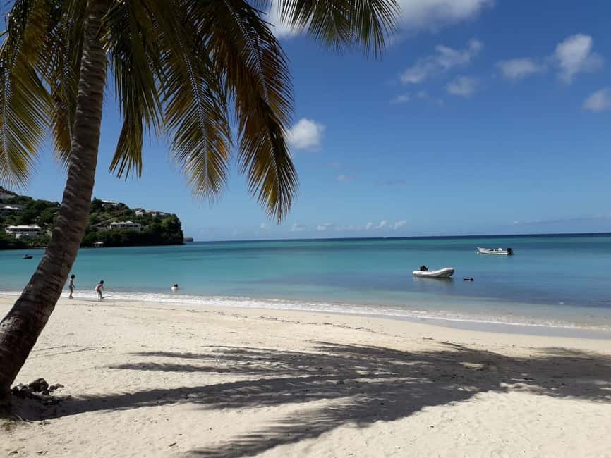 Grenada: Culture and Nature Island Tour with Chocolate & Rum - Grand Etang rainforest and the island’s mountain interior
