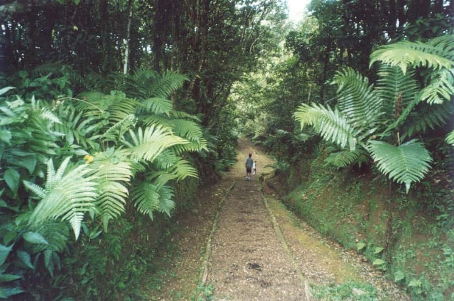 Grenada: Culture and Nature Island Tour with Chocolate & Rum - Spices, fruit, and the everyday side of Grenada