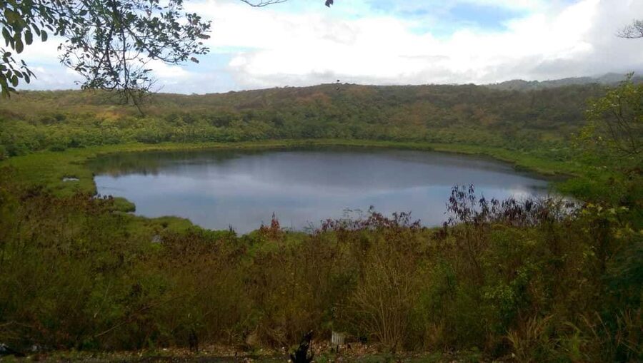 Grenada: Culture and Nature Island Tour with Chocolate & Rum - The vehicle, pace, and guide style