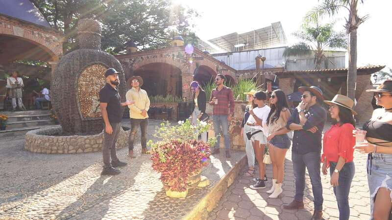 Guadalajara: Premium Tequila Tour with Tastings and Pairings - From Guadalajara to the agave fields near Amatitán