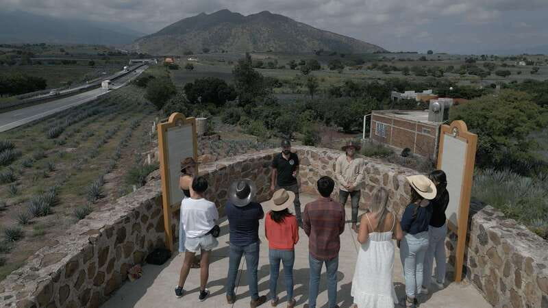 Guadalajara: Premium Tequila Tour with Tastings and Pairings - El Pedregal and the giant swings